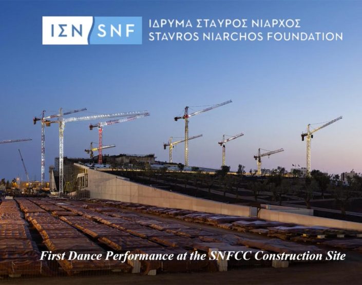 Dance of the Cranes – Time lapse by Yiorgis Yerolymbos